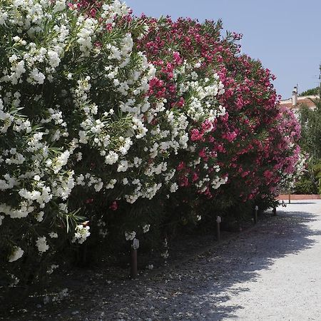 Vacanceole - Residence Las Motas Alénya Εξωτερικό φωτογραφία